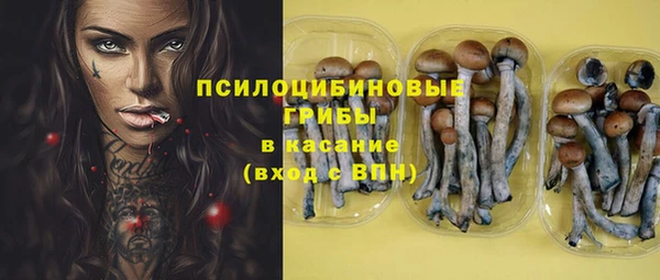 сатива Армянск