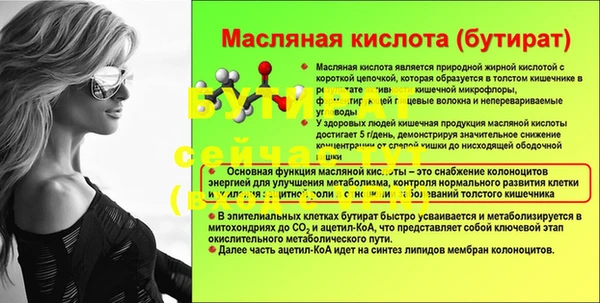 сатива Армянск
