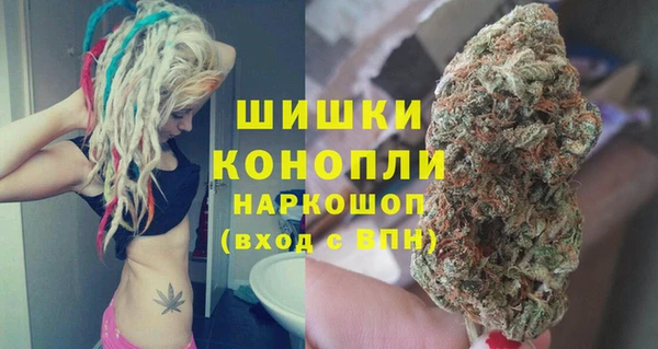 сатива Армянск