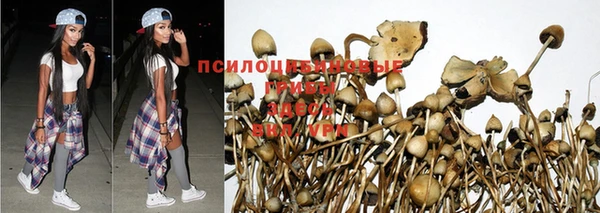 марки nbome Арсеньев