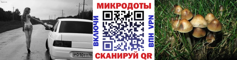 Галлюциногенные грибы GOLDEN TEACHER Борзя